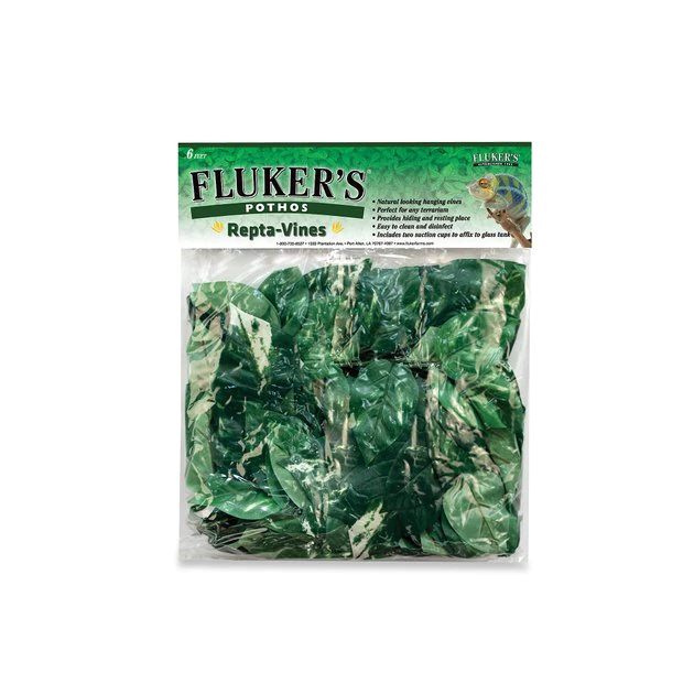 Fluker's Pothos Repta-Vines 1 Fluker's Pothos Repta-Vines