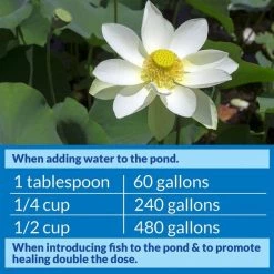 API Pond Stress Coat Water Conditioner -Deals API || Fluker's  Store 104324 PT2. SY630 V1522679146