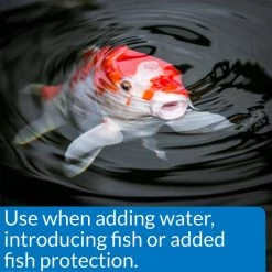 API Pond Stress Coat Water Conditioner -Deals API || Fluker's  Store 104324 PT3. SY630 V1522679096