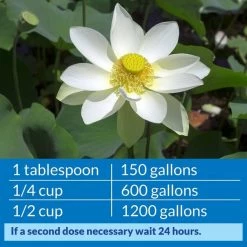 API Pond Accu-Clear Clarifier -Deals API || Fluker's  Store 104336 PT4. SY630 V1522679180