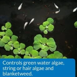 API Pond Algaefix Algae Control Solution -Deals API || Fluker's  Store 104352 PT3. SY630 V1522679190