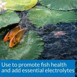 API Pond Salt -Deals API || Fluker's  Store 104368 PT4. SY630 V1522679407