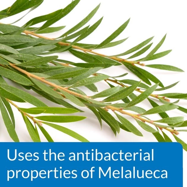 API Pond Melafix for Bacterial Infections in Fish 5 API Pond Melafix for Bacterial Infections in Fish - Image 5