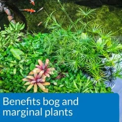 API Pond Aquatic Plant Food Tablets -Deals API || Fluker's  Store 113060 PT5. SY630 V1522679518