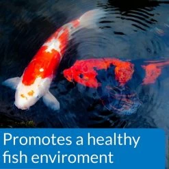 API Pond Ecofix Sludge Destroyer Pond Water Clarifier & Sludge Remover -Deals API || Fluker's  Store 123898 PT3. SY630 V1522679726