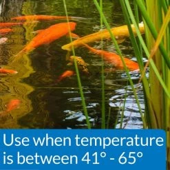 API Pond Cool Water Koi & Goldfish Food 8 API Pond Cool Water Koi & Goldfish Food -Deals API || Fluker's Store 144139 PT2. SY630 V1521564016