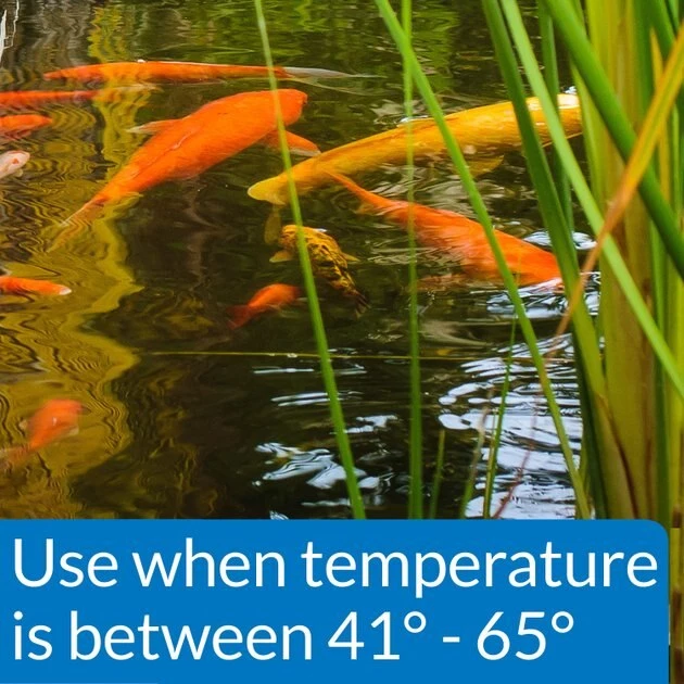 API Pond Cool Water Koi & Goldfish Food 3 API Pond Cool Water Koi & Goldfish Food - Image 3