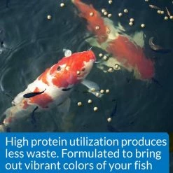 API Pond Cool Water Koi & Goldfish Food 9 API Pond Cool Water Koi & Goldfish Food -Deals API || Fluker's Store 144139 PT3. SY630 V1521563956