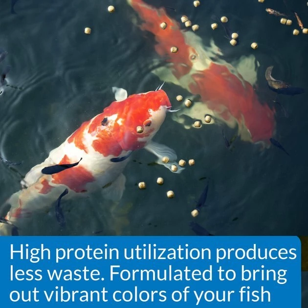 API Pond Cool Water Koi & Goldfish Food 4 API Pond Cool Water Koi & Goldfish Food - Image 4