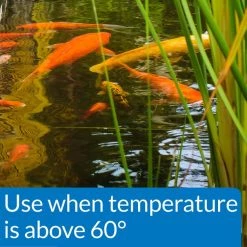 API Pond Koi & Goldfish Food -Deals API || Fluker's  Store 144144 PT2. SY630 V1521562999