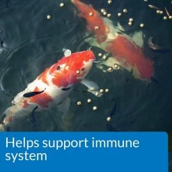 API Pond Koi & Goldfish Food -Deals API || Fluker's  Store 144144 PT3. SY630 V1521563002