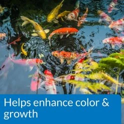 API Pond Koi & Goldfish Food -Deals API || Fluker's  Store 144144 PT4. SY630 V1521563006