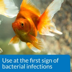 API Fin & Body Cure Freshwater Fish Powder Medication -Deals API || Fluker's  Store 165841 PT2. SY630 V1555957360