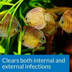 API Fin & Body Cure Freshwater Fish Powder Medication -Deals API || Fluker's  Store 165841 PT4. SY630 V1555957364