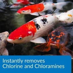 API Pond Ammo-Lock Pond Water Ammonia Detoxifier -Deals API || Fluker's  Store 165847 PT3. SY630 V1630099311