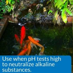 API Pond pH Down Pond Water pH Reducing Solution 8 API Pond pH Down Pond Water pH Reducing Solution -Deals API || Fluker's Store 165856 PT3. SY630 V1555957429