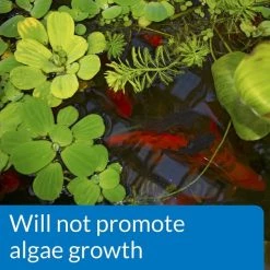 API Pond pH Down Pond Water pH Reducing Solution 9 API Pond pH Down Pond Water pH Reducing Solution -Deals API || Fluker's Store 165856 PT4. SY630 V1555957432