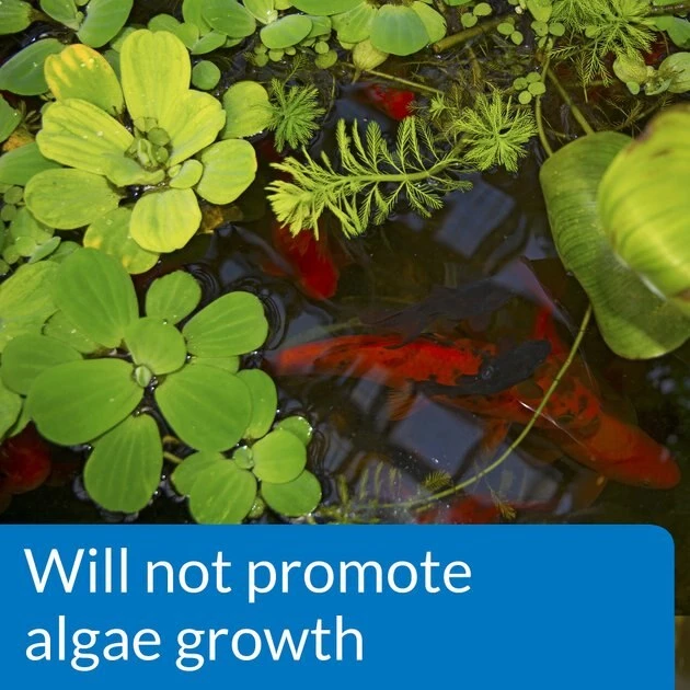 API Pond pH Down Pond Water pH Reducing Solution 4 API Pond pH Down Pond Water pH Reducing Solution - Image 4