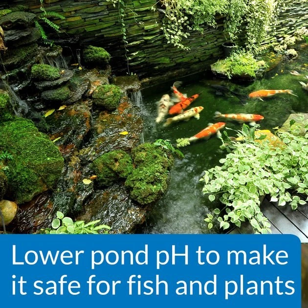 API Pond pH Down Pond Water pH Reducing Solution 5 API Pond pH Down Pond Water pH Reducing Solution - Image 5