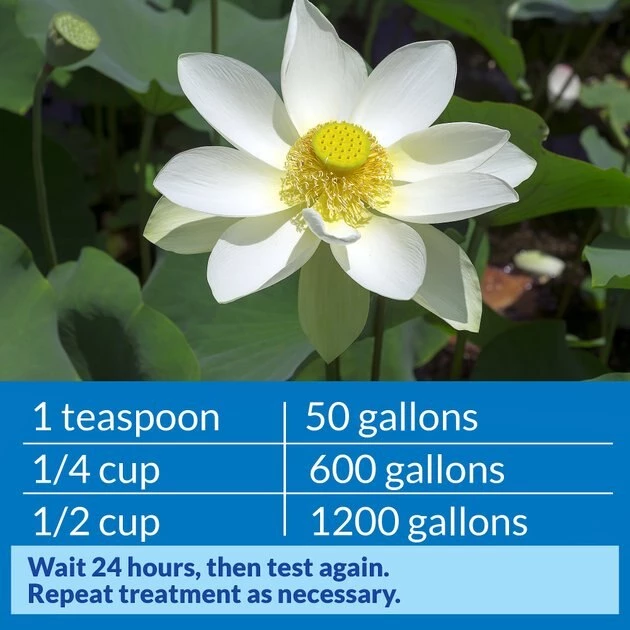 API Pond pH Down Pond Water pH Reducing Solution 6 API Pond pH Down Pond Water pH Reducing Solution - Image 6
