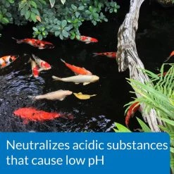 API Pond pH Up Pond Water pH Raising Solution -Deals API || Fluker's  Store 165858 PT4. SY630 V1555957748