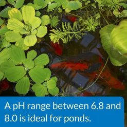 API Pond pH Up Pond Water pH Raising Solution -Deals API || Fluker's  Store 165858 PT5. SY630 V1555957750
