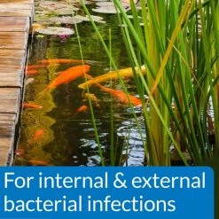 API Pond Pimafix Antifungal Pond Fish Infection Remedy 10 API Pond Pimafix Antifungal Pond Fish Infection Remedy -Deals API || Fluker's Store 165860 PT4. SY630 V1555957629