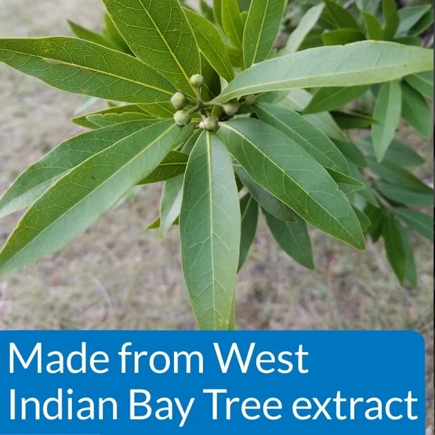 API Pond Pimafix Antifungal Pond Fish Infection Remedy 5 API Pond Pimafix Antifungal Pond Fish Infection Remedy - Image 5