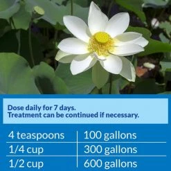 API Pond Pimafix Antifungal Pond Fish Infection Remedy 12 API Pond Pimafix Antifungal Pond Fish Infection Remedy -Deals API || Fluker's Store 165860 PT6. SY630 V1555957637