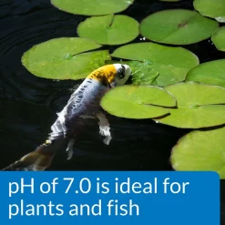 API Pond Wide Range pH Test Kit 160-Test Pond Water Test Kit -Deals API || Fluker's  Store 165868 PT4. SY630 V1555955253