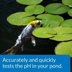 API Pond Wide Range pH Test Kit 160-Test Pond Water Test Kit -Deals API || Fluker's  Store 165868 PT5. SY630 V1555955255