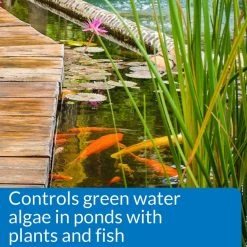 API Pondcare Microbial Algae Clean Green Water Biological Inhibitor -Deals API || Fluker's  Store 165870 PT4. SY630 V1555955264