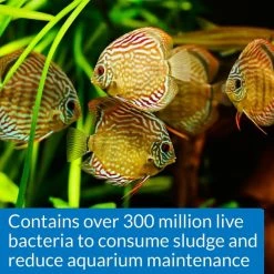 API Stress Zyme Freshwater & Saltwater Aquarium Cleaning Solution -Deals API || Fluker's  Store 165878 PT4. SY630 V1555955322