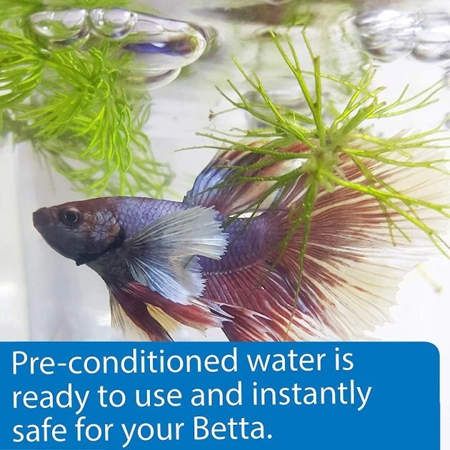 API Betta Aquarium Water Care, 31-oz bottle 3 API Betta Aquarium Water Care, 31-oz bottle - Image 3