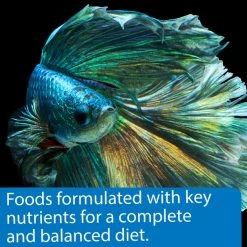 API Betta Flakes Fish Food, 0.36-oz bottle 11 API Betta Flakes Fish Food, 0.36-oz bottle -Deals API || Fluker's Store 206574 PT5. SY630 V1571860376