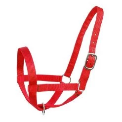 Derby Originals Barn & Turnout Nylon Cattle Halter
