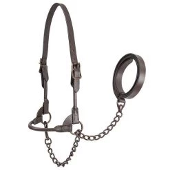 Derby Originals Bronze Beauty Premium Round Rolled Leather Cattle Show Halter & Chain Lead
