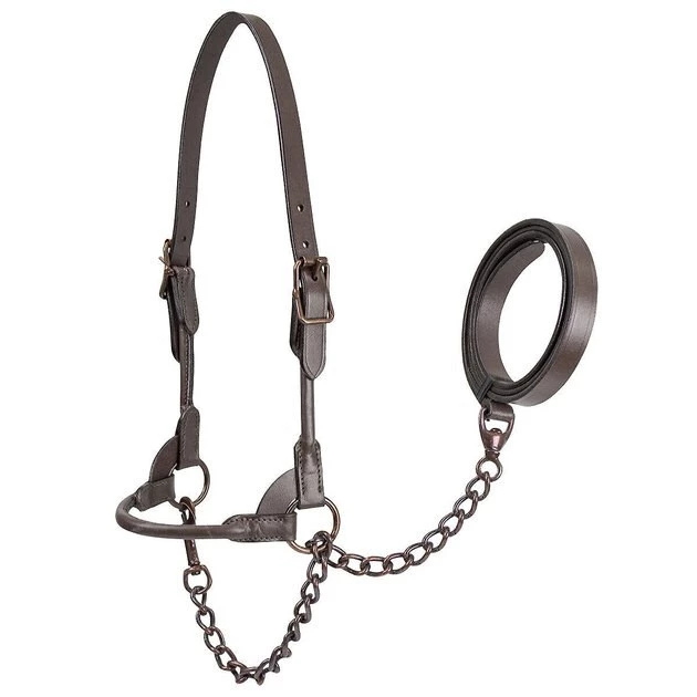 Derby Originals Bronze Beauty Premium Round Rolled Leather Cattle Show Halter & Chain Lead 1 Derby Originals Bronze Beauty Premium Round Rolled Leather Cattle Show Halter & Chain Lead