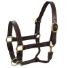 Derby Originals Coventry Triple Stitch Adjustable Leather Horse Halter, Dark Brown