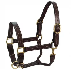 Derby Originals Coventry Triple Stitch Adjustable Leather Horse Halter, Dark Brown