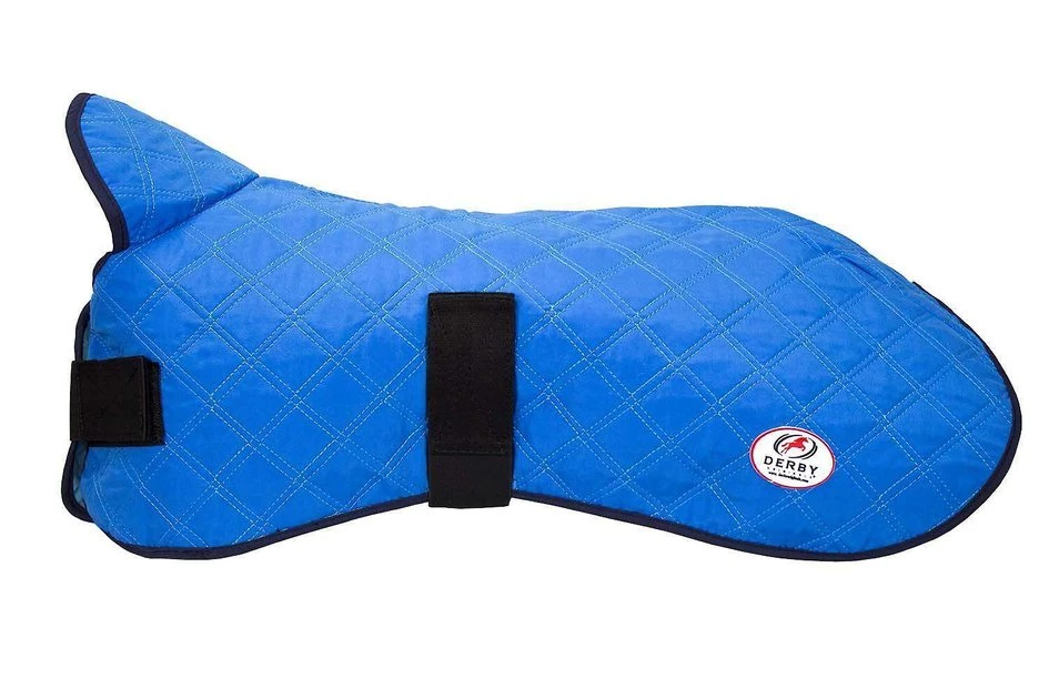 Derby Originals Hydro Cooling Dog Jacket, Blue 1 Derby Originals Hydro Cooling Dog Jacket, Blue