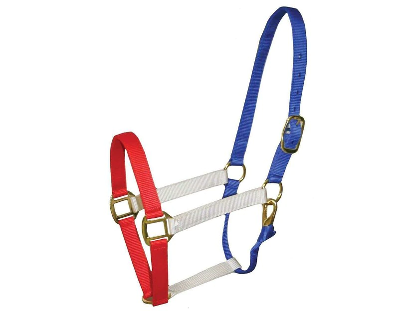 Derby Originals Patriotic Nylon Horse Halter 1 Derby Originals Patriotic Nylon Horse Halter