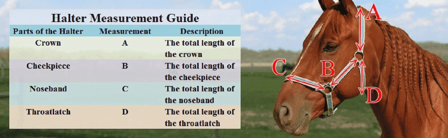 Derby Originals Patriotic Nylon Horse Halter 2 Derby Originals Patriotic Nylon Horse Halter - Image 2