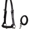 Derby Originals Premium Raised Padded Fancy Stitch Leather Cattle Show Halter & Chain Lead