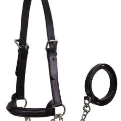 Derby Originals Premium Raised Padded Fancy Stitch Leather Cattle Show Halter & Chain Lead