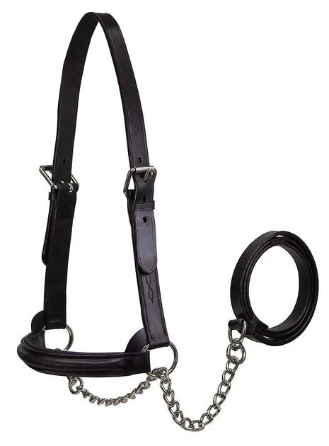 Derby Originals Premium Raised Padded Fancy Stitch Leather Cattle Show Halter & Chain Lead 1 Derby Originals Premium Raised Padded Fancy Stitch Leather Cattle Show Halter & Chain Lead