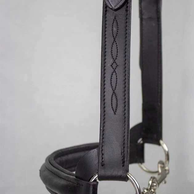 Derby Originals Premium Raised Padded Fancy Stitch Leather Cattle Show Halter & Chain Lead 2 Derby Originals Premium Raised Padded Fancy Stitch Leather Cattle Show Halter & Chain Lead - Image 2