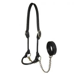 Derby Originals Premium Round Rolled Leather Cattle Show Halter & Chain Lead