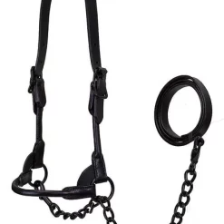 Derby Originals Premium Round Rolled Leather Cattle Show Halter & Chain Lead, Black