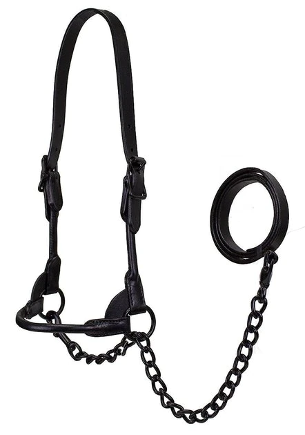 Derby Originals Premium Round Rolled Leather Cattle Show Halter & Chain Lead, Black 1 Derby Originals Premium Round Rolled Leather Cattle Show Halter & Chain Lead, Black